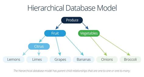 shemalestar|Shemale Model Database